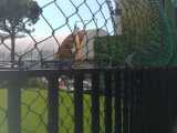 IMG-20210824-WA0012